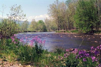 The Cowpasture River in spring